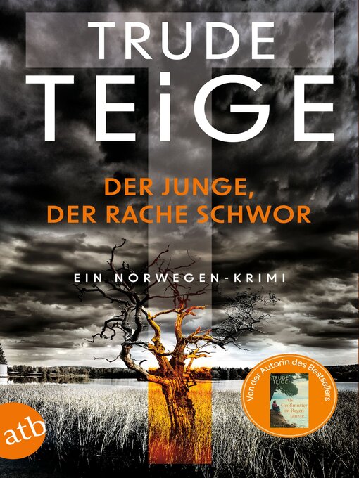 Title details for Der Junge, der Rache schwor by Trude Teige - Wait list